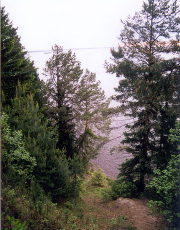 Picture